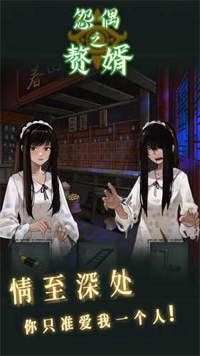 怨偶之赘婿测试版