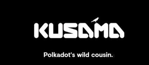 Kusama(KSM)币是什么-第1张图片-binance下载 Kusama(KSM)币是什么-第1张图片-binance下载