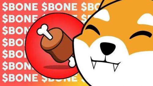 什么是Bone ShibaSwap(BONE)币-第1张图片-binance下载 什么是Bone ShibaSwap(BONE)币-第1张图片-binance下载