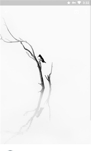 Walldrobe壁纸最新版