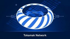 什么是Tokamak Network(TON)币