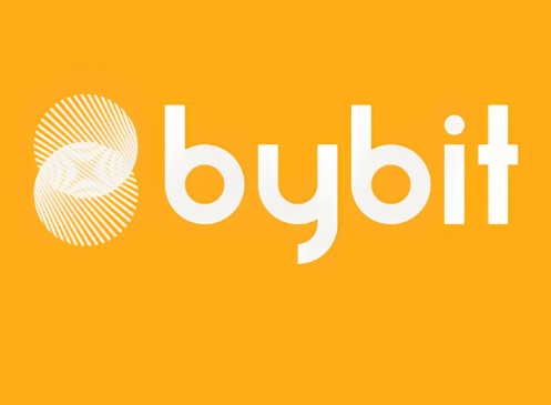 Bybit交易所如何进行跨链转账-第1张图片-binance下载