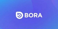 什么是BORA币