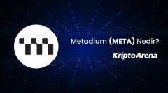 什么是Metadium(META)币