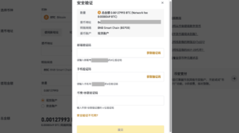 binance提币地址错误怎么办-第2张图片-binance下载