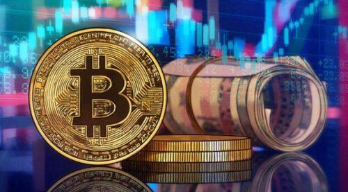 PolyDoge币是什么-第1张图片-binance下载