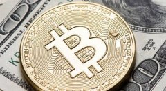 唯链(VeChain)创新用例及其应用场景