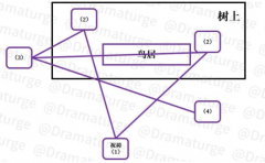 原神深林狸囃子任务攻略_原神深林狸囃子解谜详细流程