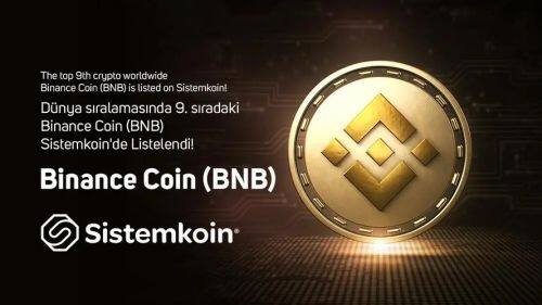 BNB币未来前景如何-第1张图片-binance下载 BNB币未来前景如何-第1张图片-binance下载