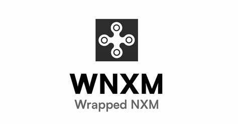 Wrapped NXM(WNXM)币-第1张图片-binance下载