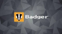 什么是Badger DAO币