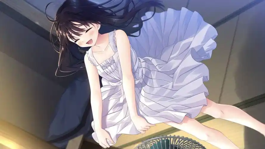 乡间生活安卓汉化下载图