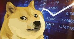 狗狗币怎么买入 狗狗币未来能涨到多少