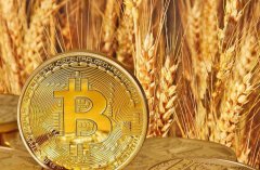 维卡币怎么投资(维卡币的投资价值)