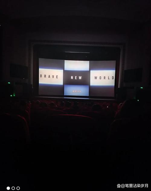 白熊影院官方版截图3