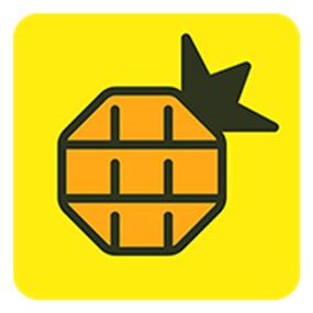 菠萝影视安装包图