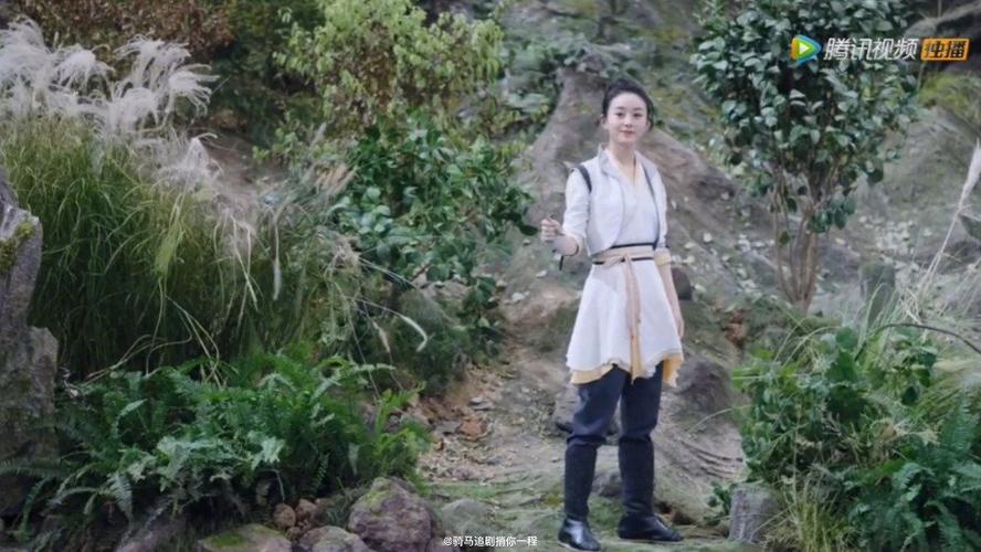 白菜追剧最新版本截图3