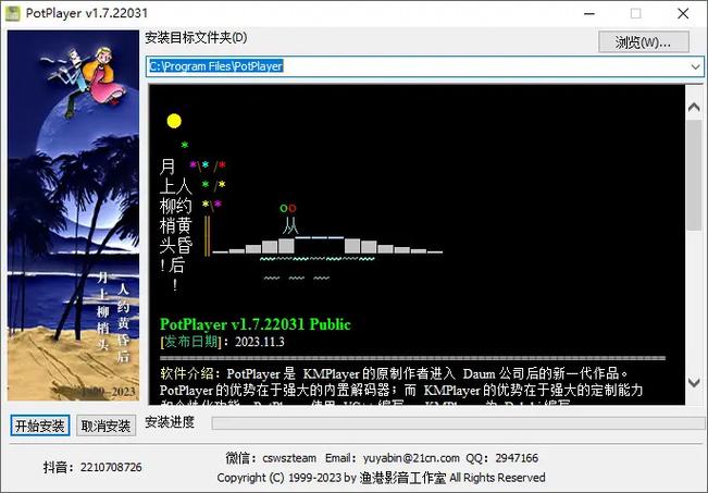 potplayer安卓版下载截图3