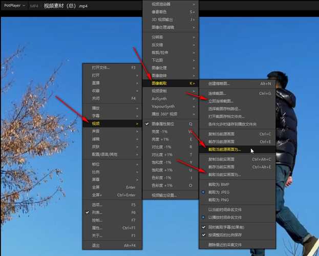 potplayer中文版截图1