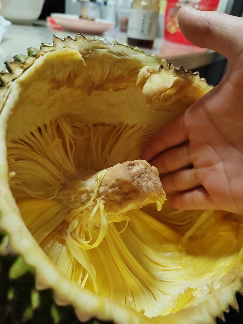 菠萝蜜视频免费版截图2