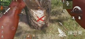 失控进化怎么开荒