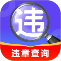 违章车辆速查图