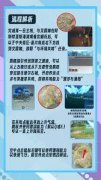 星痕共鸣阿斯特里亚平原怎么快速开图-星痕共鸣阿斯特里亚平原快速开图的方