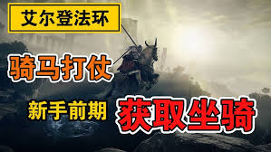新人如何开荒艾尔登法环