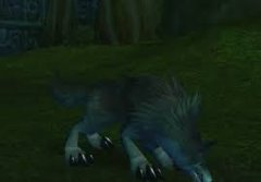 魔兽世界怀旧服邪枝巨狼怎么介绍-魔兽世界怀旧服邪枝巨狼的介绍方法