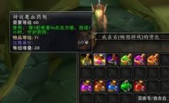 魔兽世界tbc熊德用什么药水合剂-魔兽世界tbc熊德药水合剂选择