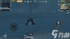 和平精英单排皮肤排行是什么-和平精英单排皮肤的排名情况是怎样的