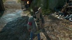 往日不再如何速刷营地信任度-往日不再营地信任度速刷终极方法