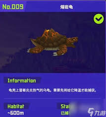 如何讨伐熔岩龟