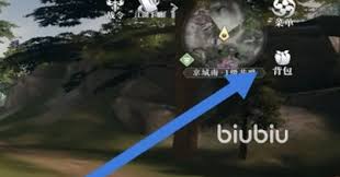 大奉打更人手游丹药怎么服用