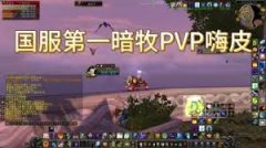 魔兽世界wlk暗牧PVP怎么玩-魔兽世界wlk暗牧PVP攻略分享