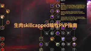 魔兽世界wlk暗牧PVP怎么玩