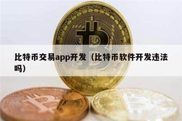 比特币交易app开发（比特币软件开发违法吗）-第1张图片-binance下载