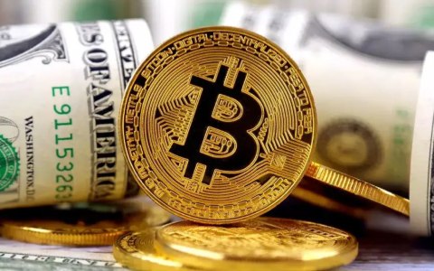 数字货币交易平台_比特币用什么平台-第1张图片-binance下载