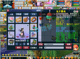 梦幻西游69级普陀山装备如何展示