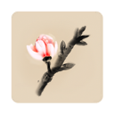 冬蜃楼游戏最新版下载-冬蜃楼官网版免费安装 v1.0.4