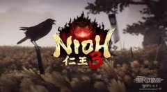 仁王3全探索图文攻略是什么-仁王3全探索图文攻略介绍