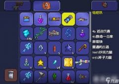 泰拉瑞亚有哪些实用饰品-泰拉瑞亚实用饰品都有啥