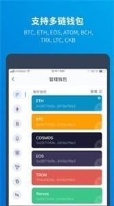 XRP钱包