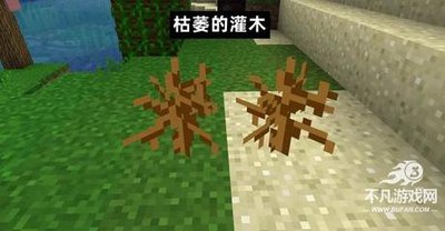 红色沙漠送礼花盆怎么获得