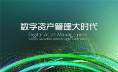 数字资产定义标准(数字资产与数字货币的区别)