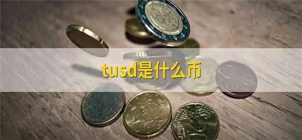 TUSD币是什么币
