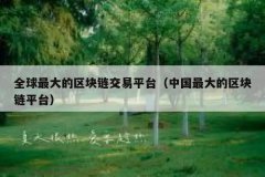 全球最大区块链平台(全球领先的数字资产交易平台)