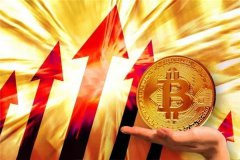 比特币基金在哪里购买(比特币基金有哪些)