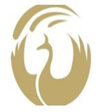 火鸟交易所app下载图