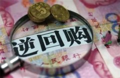 交易所逆回购是什么意思(交易所逆回购的操作方式)
